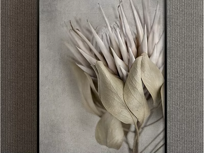 Botanical Painting of Silver Protea With Dried Leaves On Neutral Gray Background 3d model