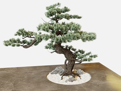Chinese-style Pine Garden Ornaments 3d model