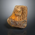 Artistic Stone Wood Carving Featuring Ammonite Fossil Design And Natural Texture