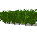 Shrubs 3d model