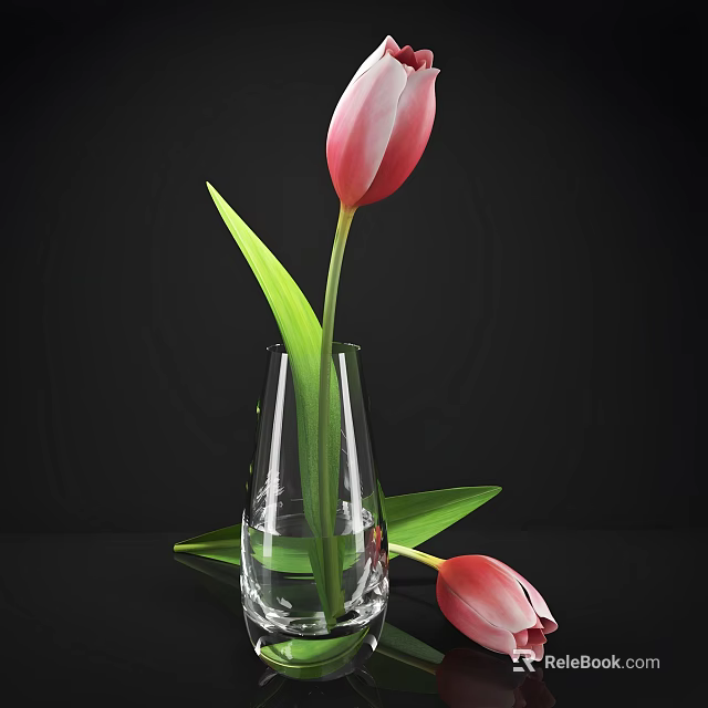 Pink Tulips in Transparent Glass Vase with Green Leaves and Water on Black Background 3d model 
