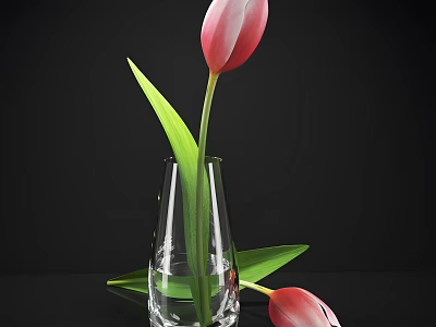 Pink Tulips in Transparent Glass Vase with Green Leaves and Water on Black Background 3d model