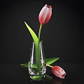 Pink Tulips in Transparent Glass Vase with Green Leaves and Water on Black Background