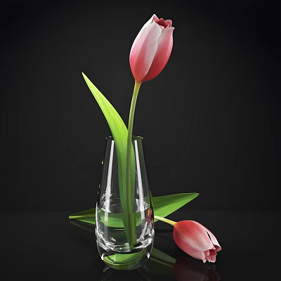 Pink Tulips in Transparent Glass Vase with Green Leaves and Water on Black Background 3d model