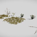 3D Rendered Various Plants Featuring Grass Shrubs Slender Branches And Clustered Leaves In Natural Landscape
