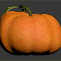 Orange Textured Pumpkin With Green Leaf And Vine On Dark Background