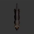 Cute Brown Baby Wolf With Bright Blue Eyes Standing On Gray Surface