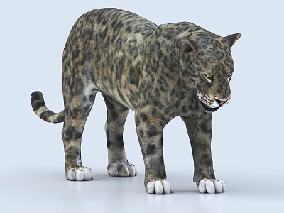 Detailed Realistic 3D Leopard Model With Spotted Fur Fierce Expression And Standing Posture 3d model