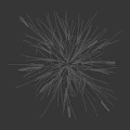 Herbaceous Plants with Slender Leaves Green and Orange Gradient White Spikelets on Black Background