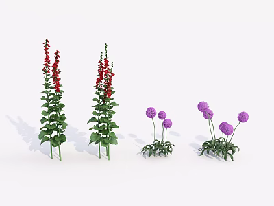 Tall Red Flowering Shrubs And Short Purple Bloom Shrubs With Green Leaves 3d model