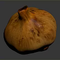 Ripe Yellow Onion With Textured Outer Skin On Dark Reflective Surface