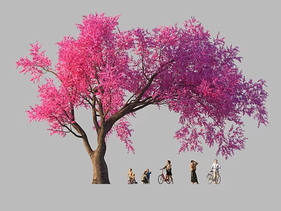 Vibrant Pink Purple Flowering Tree With People Cycling And Walking Under 3d model