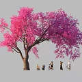 Vibrant Pink Purple Flowering Tree With People Cycling And Walking Under