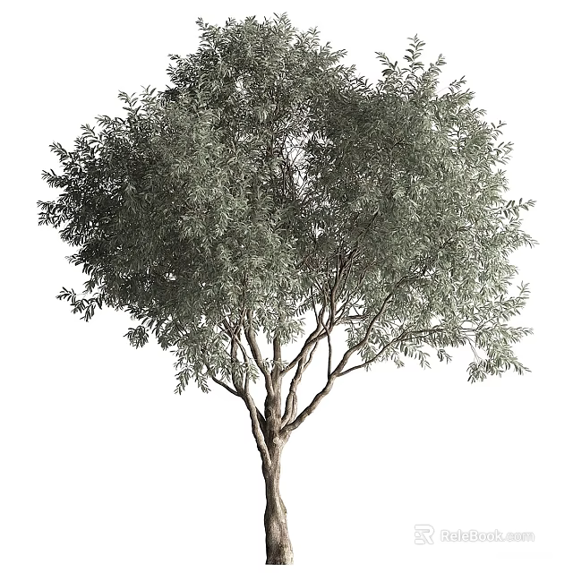 Tall Arbor With Lush Green Foliage And Strong Trunk In Natural Environment 3d model 