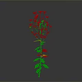 Tall Single Plant With Green Stem White Flowers And Lush Green Leaves