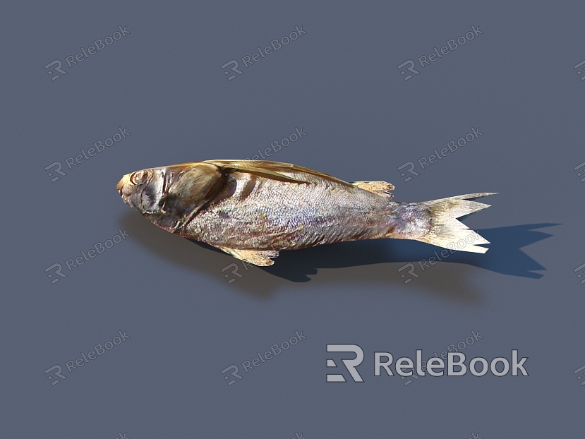 fish dried fish food model