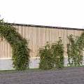 Lush Climbing Vines Against Natural Bamboo Fence With Stone Paved Ground