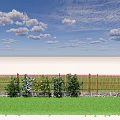 Bamboo Fence With Green Grass And Plants Under Blue Sky With Clouds