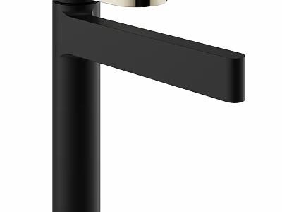 Modern Matte Black Faucet With Sleek Single Handle Design For Home Use 3d model