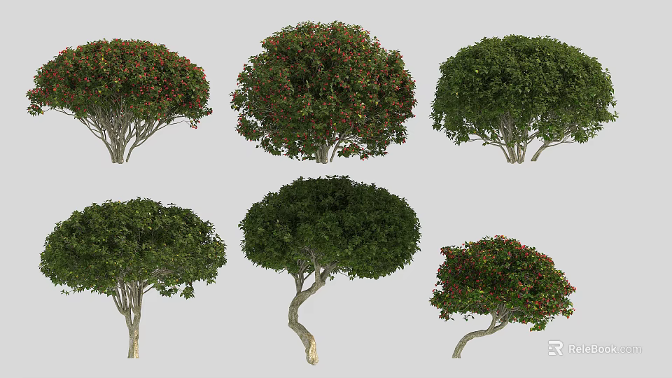 Various Arbor Trees With Different Crown Shapes Green Red Leaf Colors And Diverse Trunk Forms 3d model