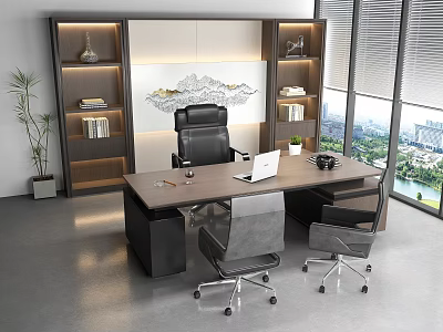 Modern Executive Office Desk with Ergonomic Chairs Laptop Bookshelves Green Plant and City View 3d model