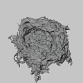 Natural Wild Bird Nest Constructed With Twigs Dry Grass And Small Debris
