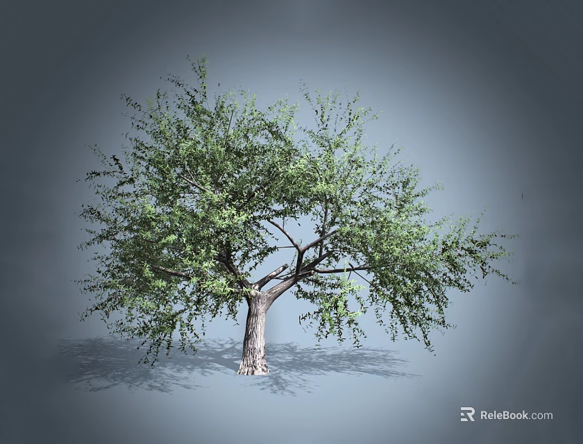 Lush Green Arbor With Dense Foliage And Strong Trunk In Gray Background 3d model 