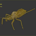 Brown insect with leaf like texture and long slender legs on dark background with reflection 3d model