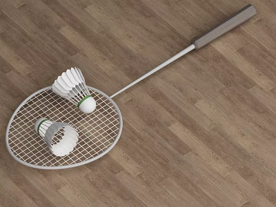 High Quality Sports Equipment Including Badminton Racket And Shuttlecocks On Wooden Floor 3d model