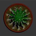 Green Cactus Plant with Spines in Brown Terracotta Pot on Gray Background