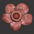 Anatomical Organ Featuring Hair Like White Spots And Red Petal Like Structures