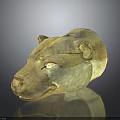 Animal Skull With Ancient Detailed Brownish Yellow Texture And Reflection On Dark Background