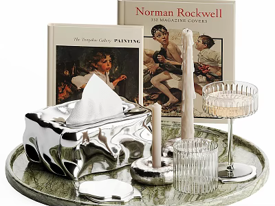 Elegant Decorative Ornament Set With Silver Tissue Box Candles Clear Glass Holders Tray And Books 3d model