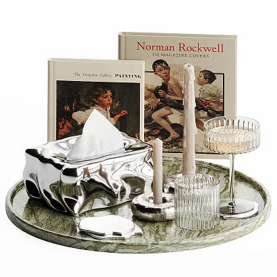 Elegant Decorative Ornament Set With Silver Tissue Box Candles Clear Glass Holders Tray And Books 3d model