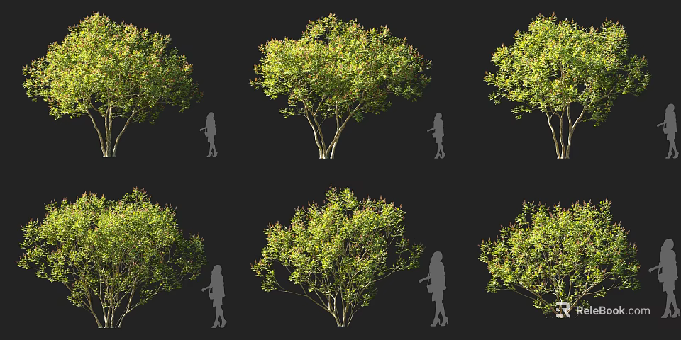 Lush Green Trees With Diverse Foliage And Human Silhouettes For Scale 3d model 