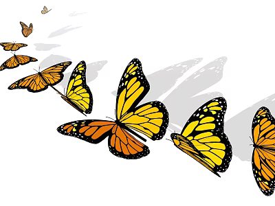 Beautiful Vibrant Yellow and Orange Butterflies Flying Against White Background 3d model