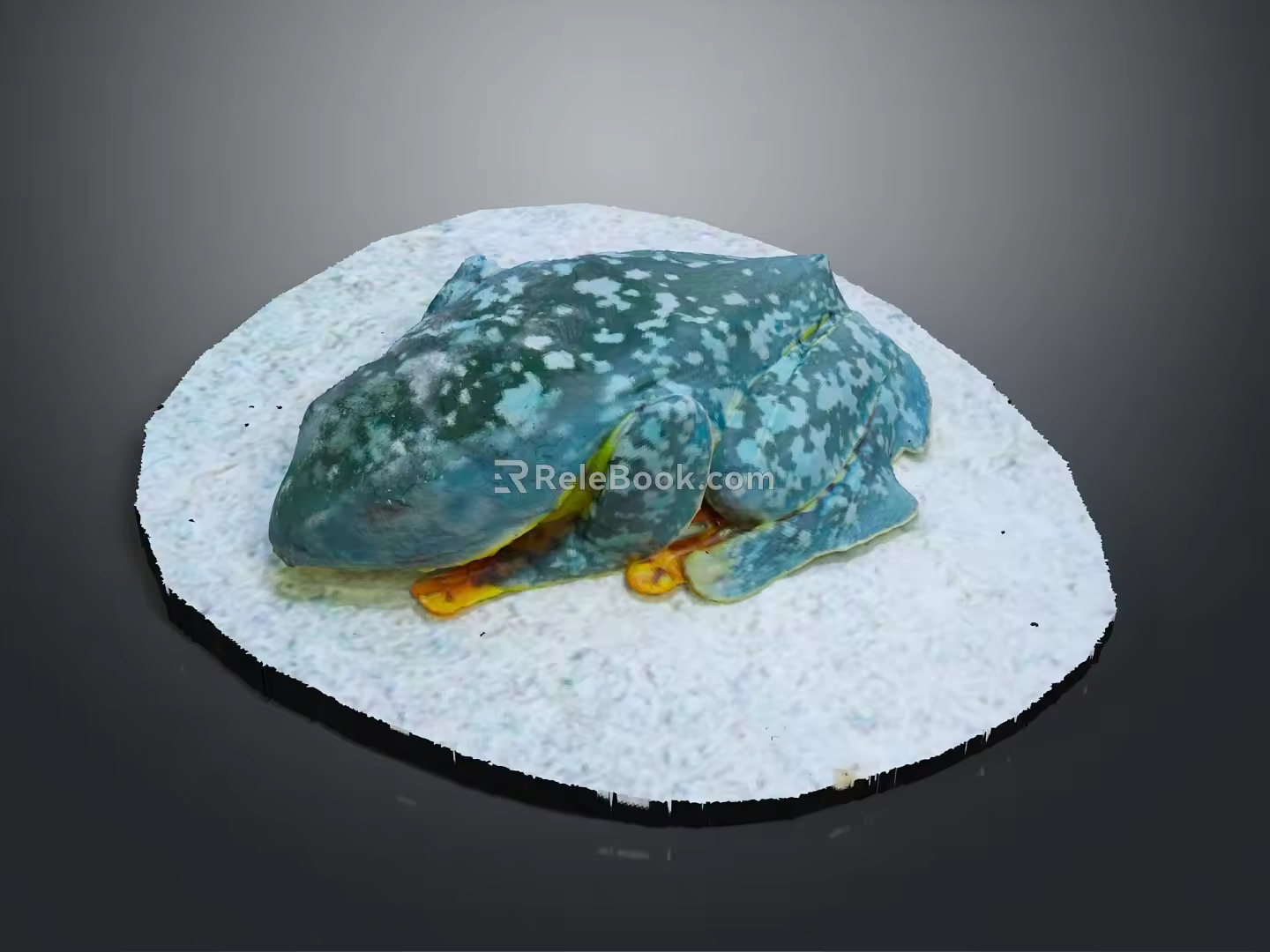 Frog Poison Frog Game Frog Reptile Cold Blooded Animal Reptile 3d model