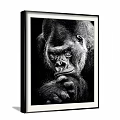 Detailed Black and White Gorilla Animal Painting With Framed Portrait and Expressive Face