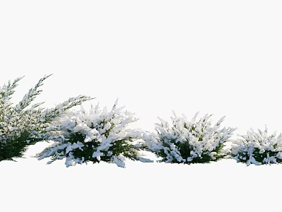 Snow Covered Shrubs in Row with White Snow and Green Foliage Arrangement 3d model