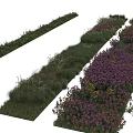 Diverse Colorful Plant Combination Featuring Various Plants Purple Flowers Yellow Blooms And Green Foliage