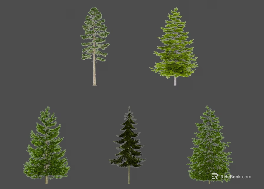 Various Evergreen Trees With Distinct Foliage Showcasing Different Green Shades On Gray Background 3d model 