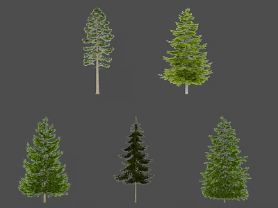 Various Evergreen Trees With Distinct Foliage Showcasing Different Green Shades On Gray Background 3d model