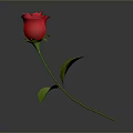 Red Rose With Green Stem And Leaves On Gray Background