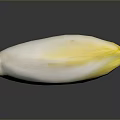Fresh Endive Vegetable With White Base And Yellow Leaf Tips On Dark Background
