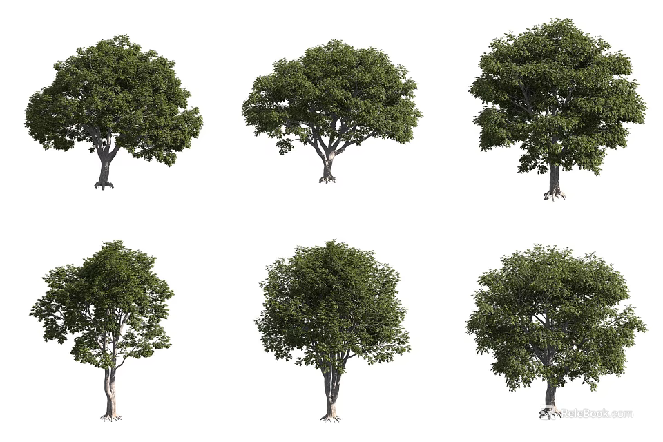 Various Arbor Trees With Lush Green Foliage And Different Crown Shapes 3d model