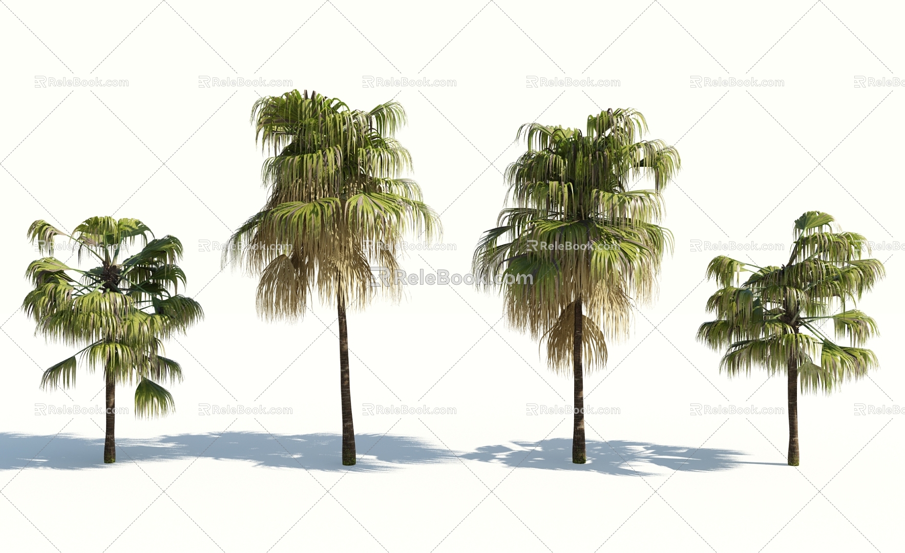 Modern Tree Palm Tree 3d model