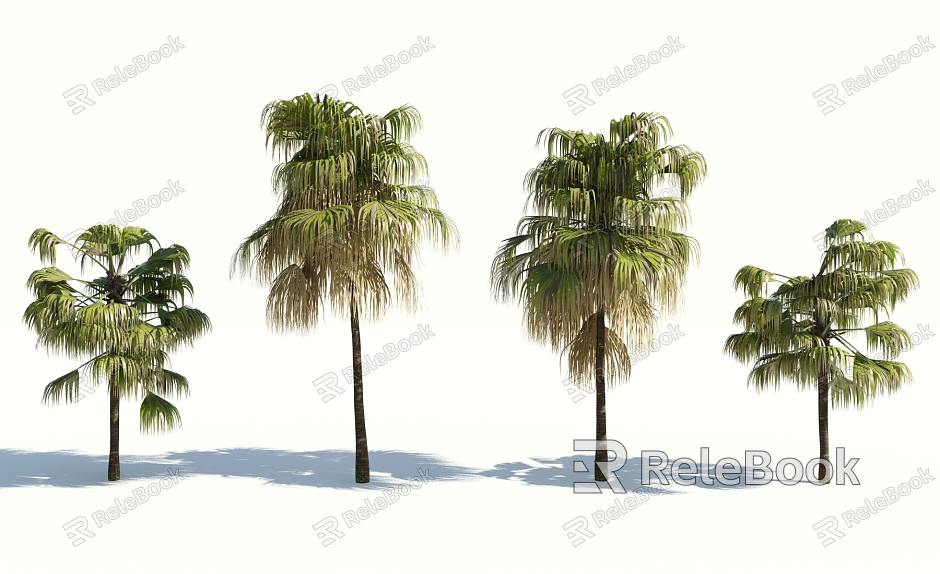 Modern Tree Palm Tree model