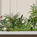Modern Indoor Plant Combination Featuring Ferns Red Flowering Plants Palms in Rectangular Planter Greenery 3d model