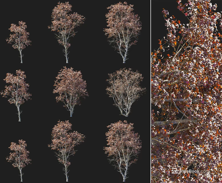 Multiple Arbor Trees With Brown Red Autumn Leaves And Detailed Branch Structures On Black Background 3d model 