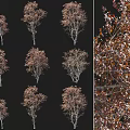 Modern autumn Acer maple deciduous tree plant Acer maple autumn plant autumn Acer maple plant yellow tree maple tree 3d model